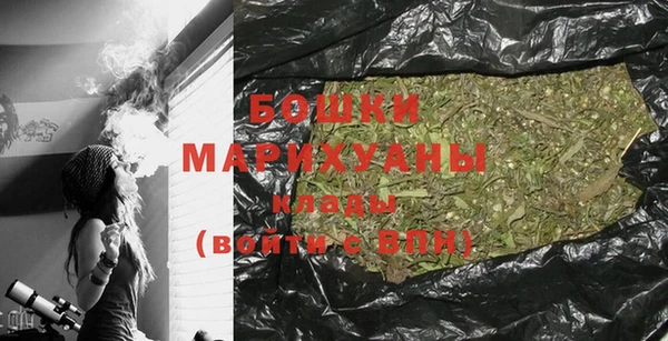 ГАЛЛЮЦИНОГЕННЫЕ ГРИБЫ Абаза