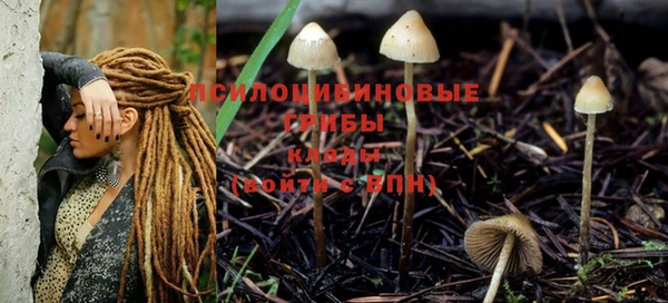 стаф Сафоново