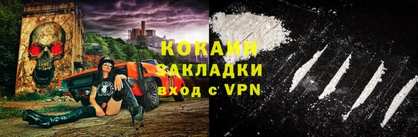 ГАЛЛЮЦИНОГЕННЫЕ ГРИБЫ Абаза