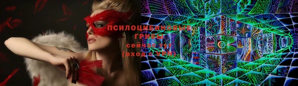 ГАЛЛЮЦИНОГЕННЫЕ ГРИБЫ Абаза