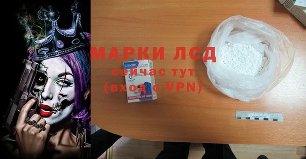 ГАЛЛЮЦИНОГЕННЫЕ ГРИБЫ Абаза