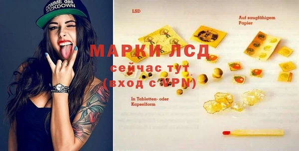 ГАЛЛЮЦИНОГЕННЫЕ ГРИБЫ Абаза